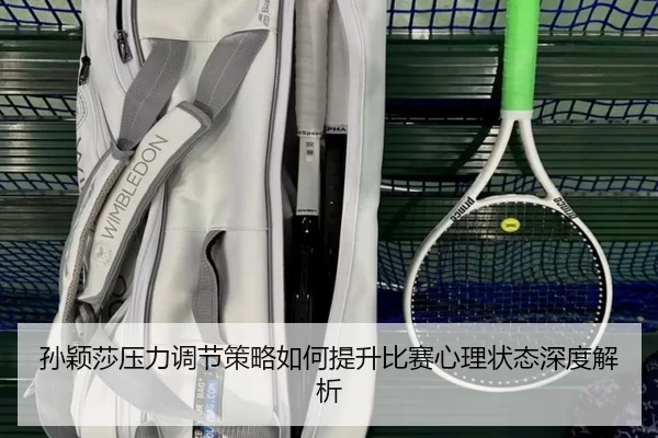 孙颖莎压力调节策略如何提升比赛心理状态深度解析