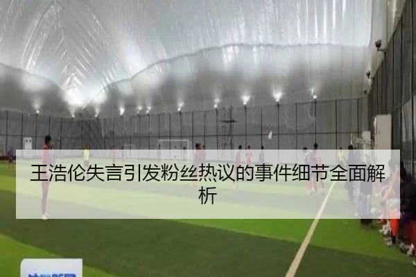 王浩伦失言引发粉丝热议的事件细节全面解析