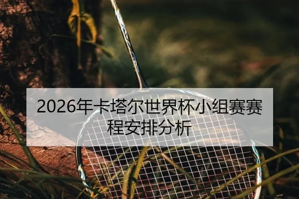 2026年卡塔尔世界杯小组赛赛程安排分析
