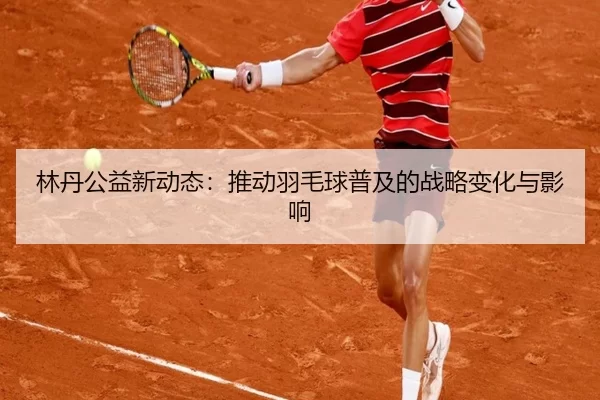 林丹公益新动态：推动羽毛球普及的战略变化与影响